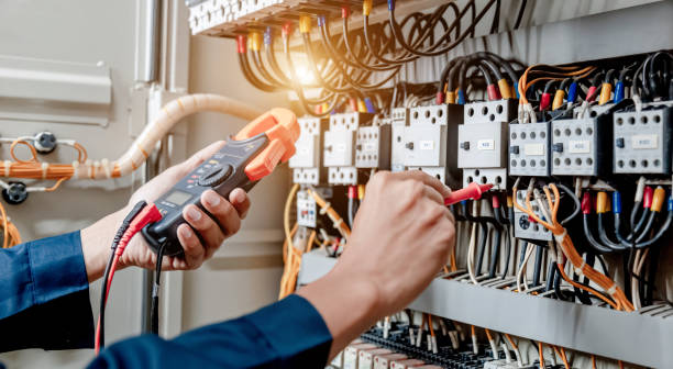 Best Electric Panel Repair  in Lake Secession, SC